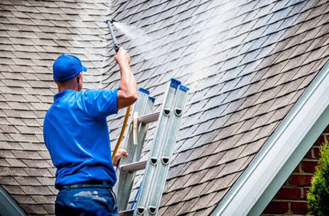 reno roof cleaning